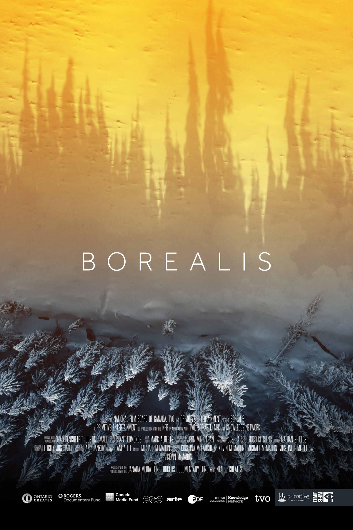 Official poster for Borealis: an aerial view of a frost-covered boreal forest, its treetops reflected in a golden, fiery sky above.